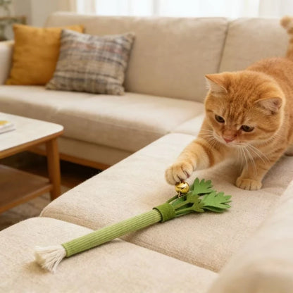 Catnip Dental Chew Toy