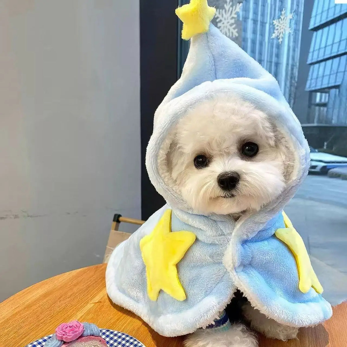 Cozy Winter Pet Blanket Cape