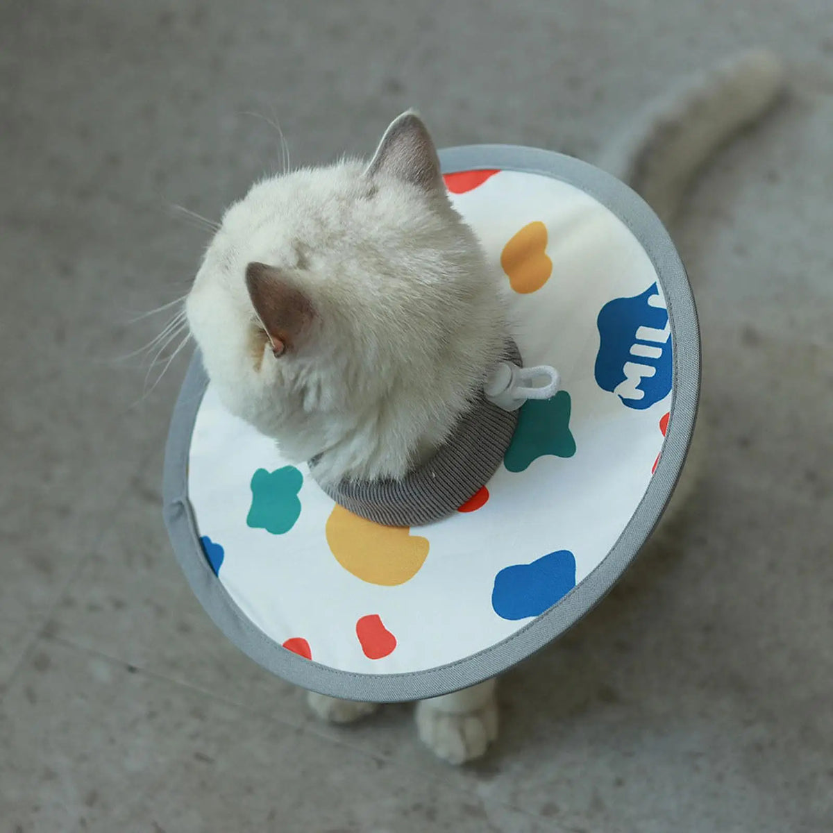 Soft Cat Recovery Collar