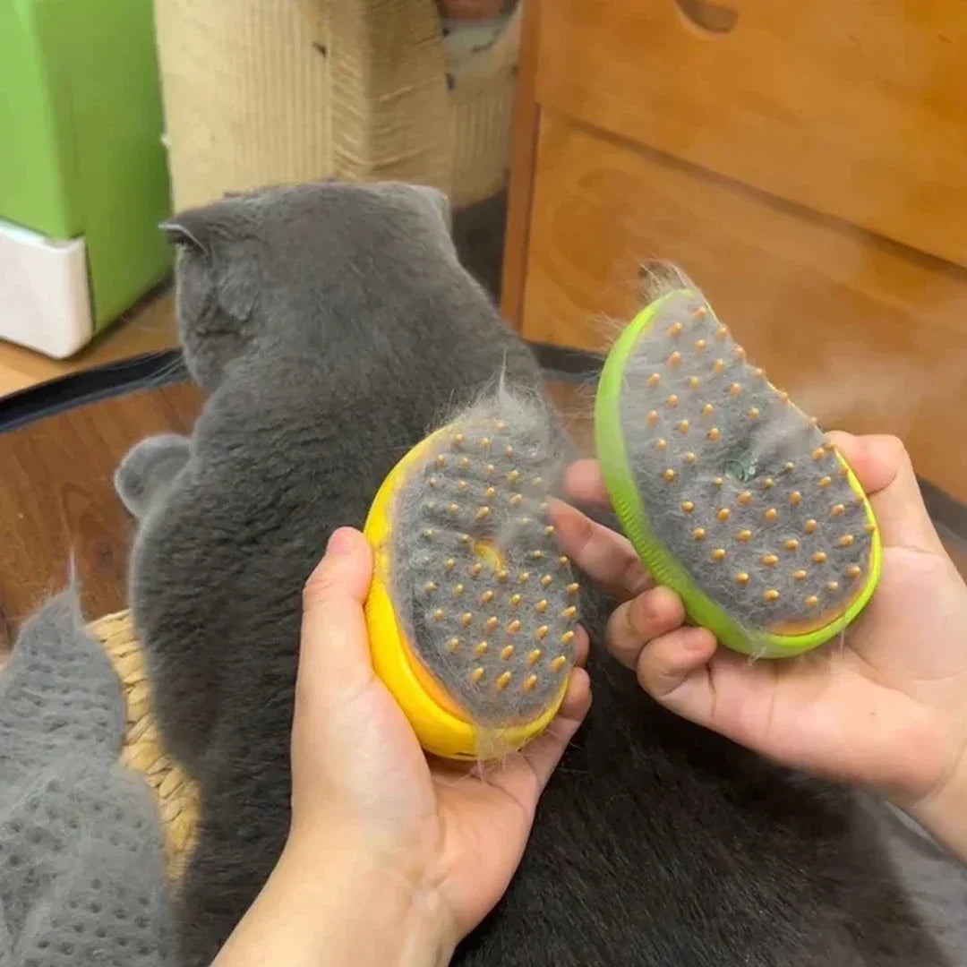 Electric Steam Pet Brush