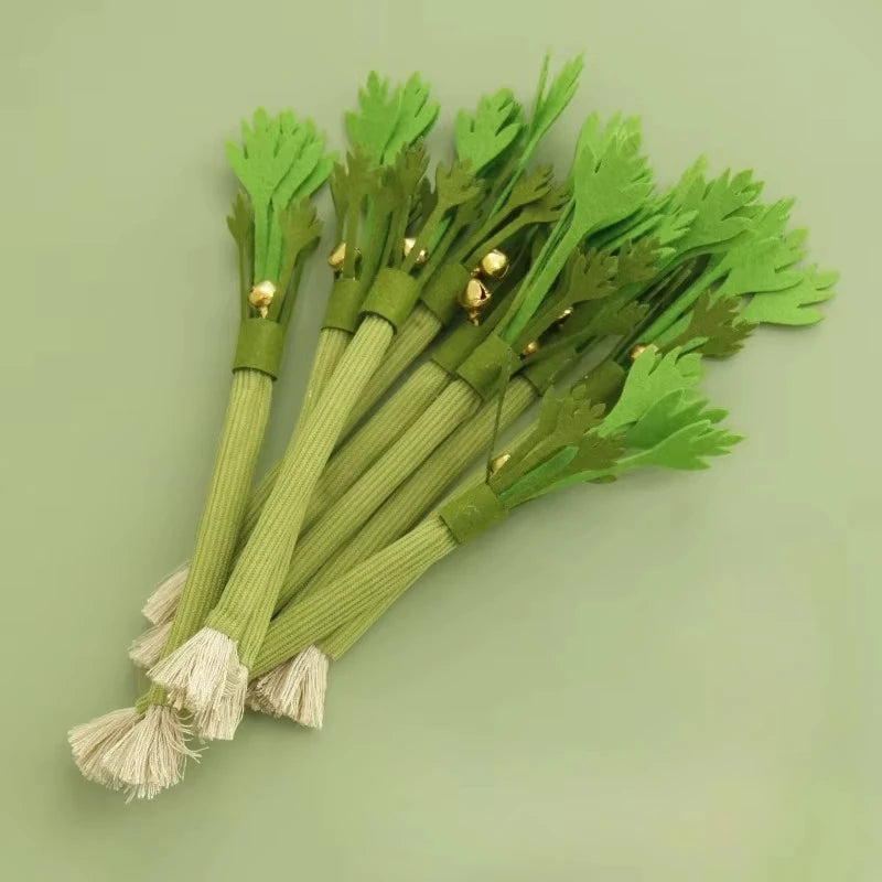 Catnip Dental Chew Toy