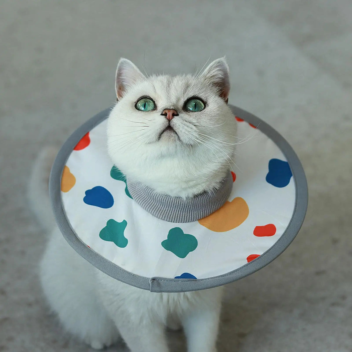 Soft Cat Recovery Collar