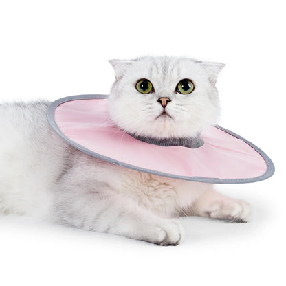 Adjustable Cat Recovery Collar