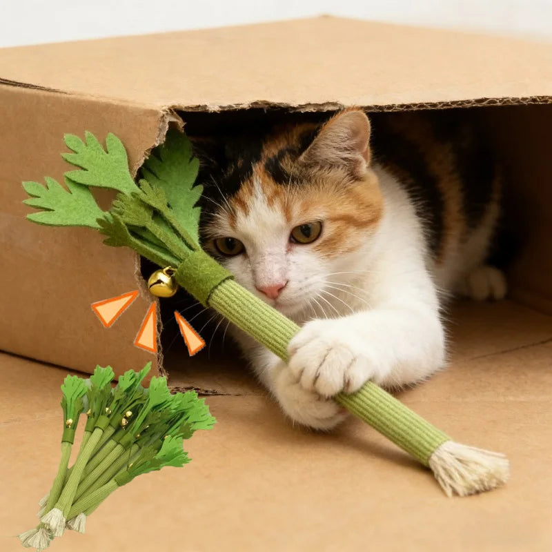 Catnip Dental Chew Toy