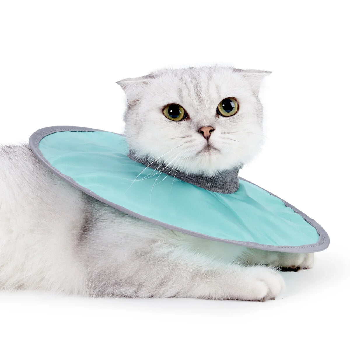 Adjustable Cat Recovery Collar