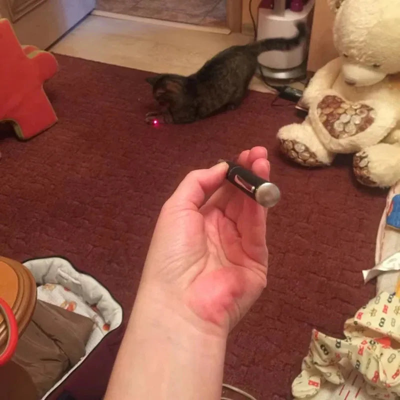 Laser & LED Cat Toy