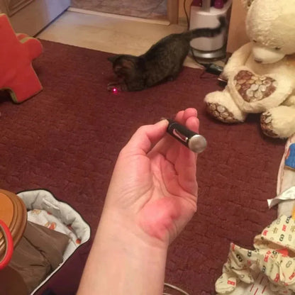 Laser & LED Cat Toy