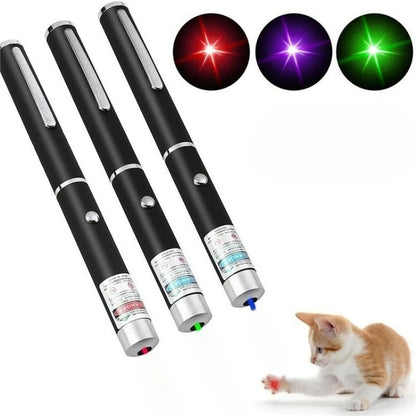 Laser & LED Cat Toy