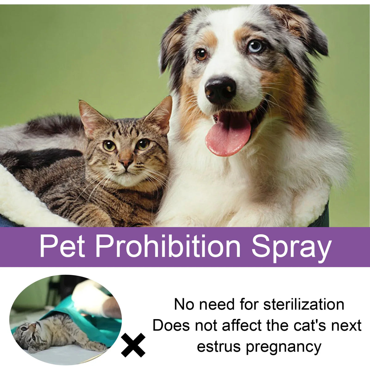 Pet Pheromone Calming Spray