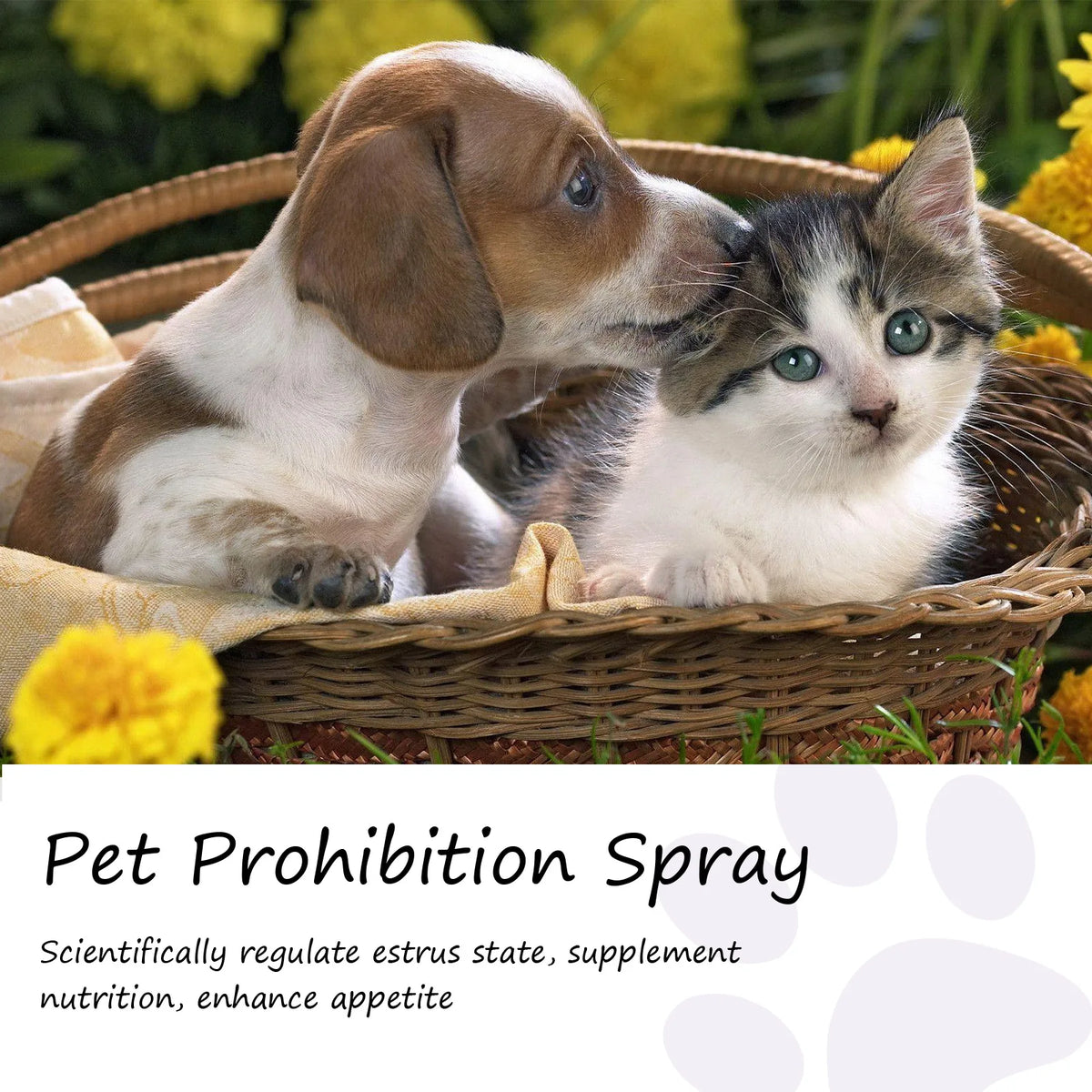 Pet Pheromone Calming Spray