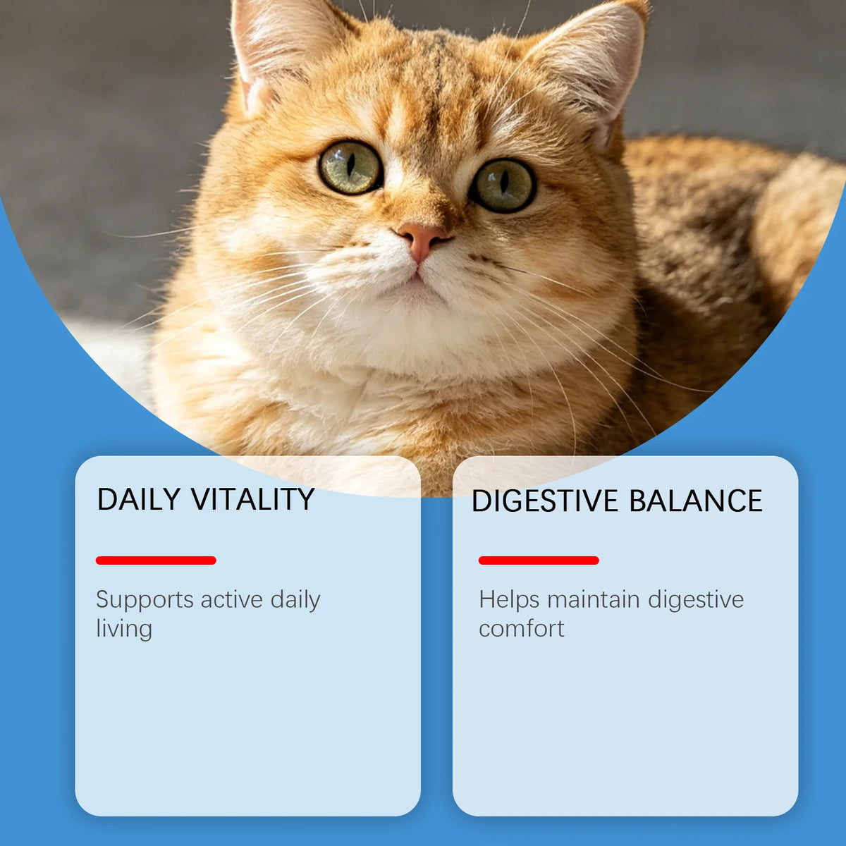 Feline Taurine Wellness Powder