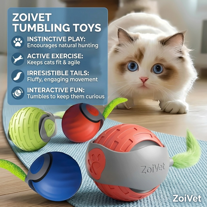 Chaser | Interactive Motion Cat Toy