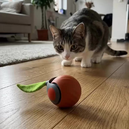 Chaser | Interactive Motion Cat Toy